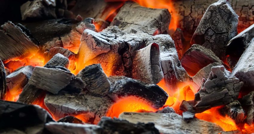 Woodfire Grill vs. Charcoal Grilling: Knowing When to Burn Which